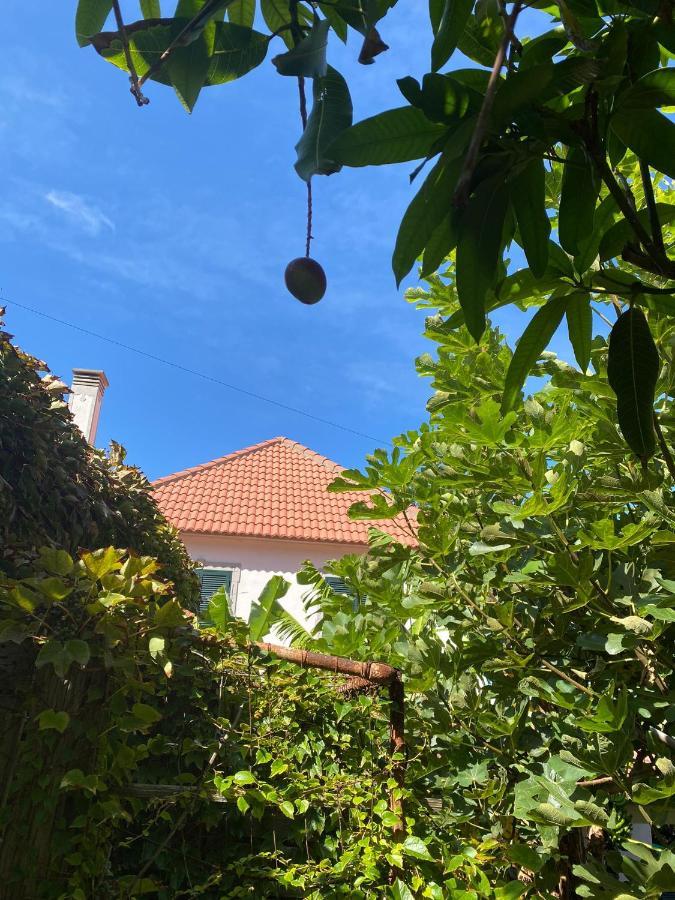 Villa Avo Lucindinha House - Porto Moniz Extérieur photo